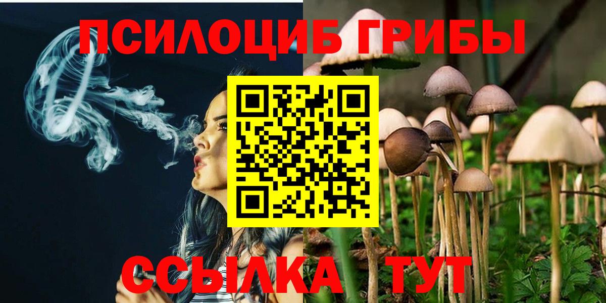 Галлюциногенные грибы Psilocybe Чусовой