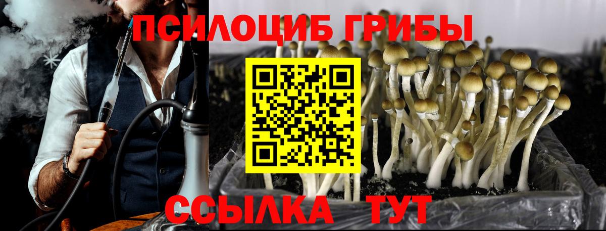 Псилоцибиновые грибы ЛСД  Вход с VPN  Чусовой 